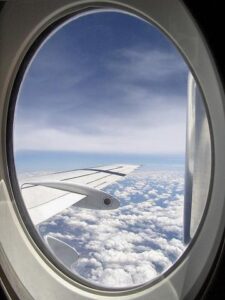 Enjoy Your Flight with Opulent Dictator Airways Image